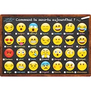 ASHLEY PRODUCTIONS Smart Poly™ French Emotions Icon Chart, 13in x 19in, Comment te sens-tu aujourd hui 93006